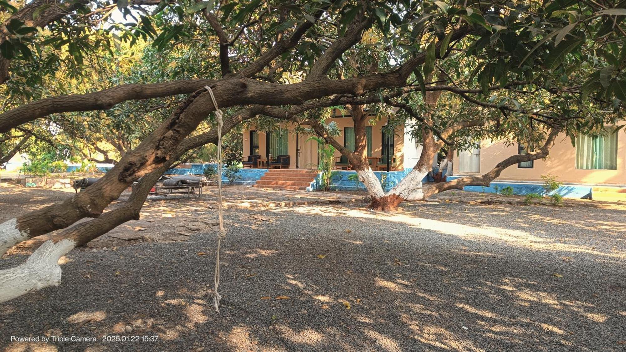 Gir County Resort Sasan Gir Extérieur photo
