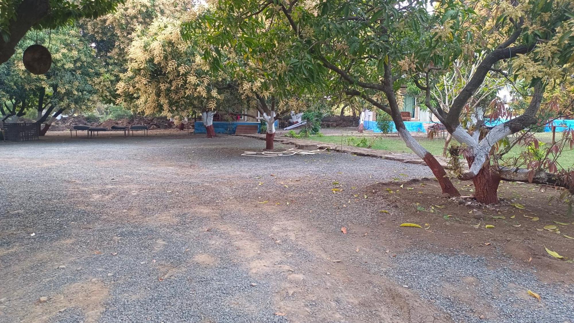 Gir County Resort Sasan Gir Extérieur photo