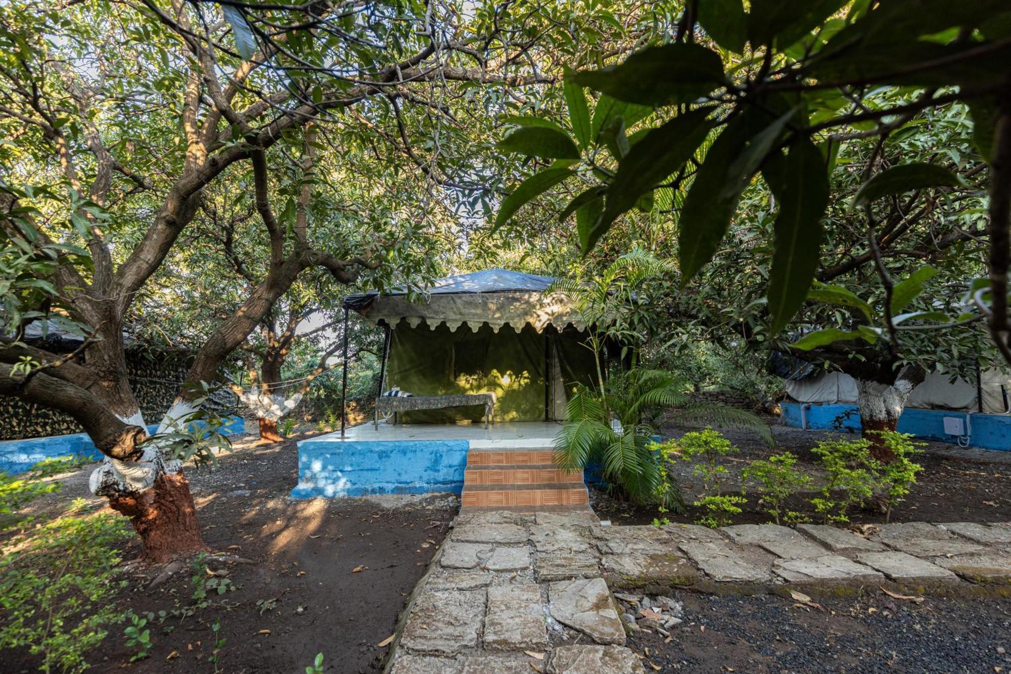 Gir County Resort Sasan Gir Extérieur photo