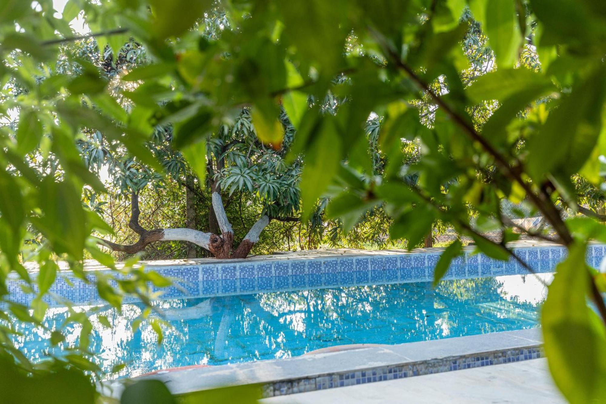 Gir County Resort Sasan Gir Extérieur photo